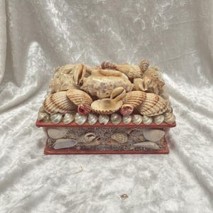 May include: A rectangular box covered in various natural seashells. The lid features a dense arrangement of large, textured conch and scallop shells in shades of beige, tan, and white. The sides are decorated with smaller shells and sand.