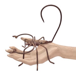 May include: A rusty metal sculpture of a scorpion with a curled tail. The sculpture is held in a hand, with the scorpion's legs outstretched.