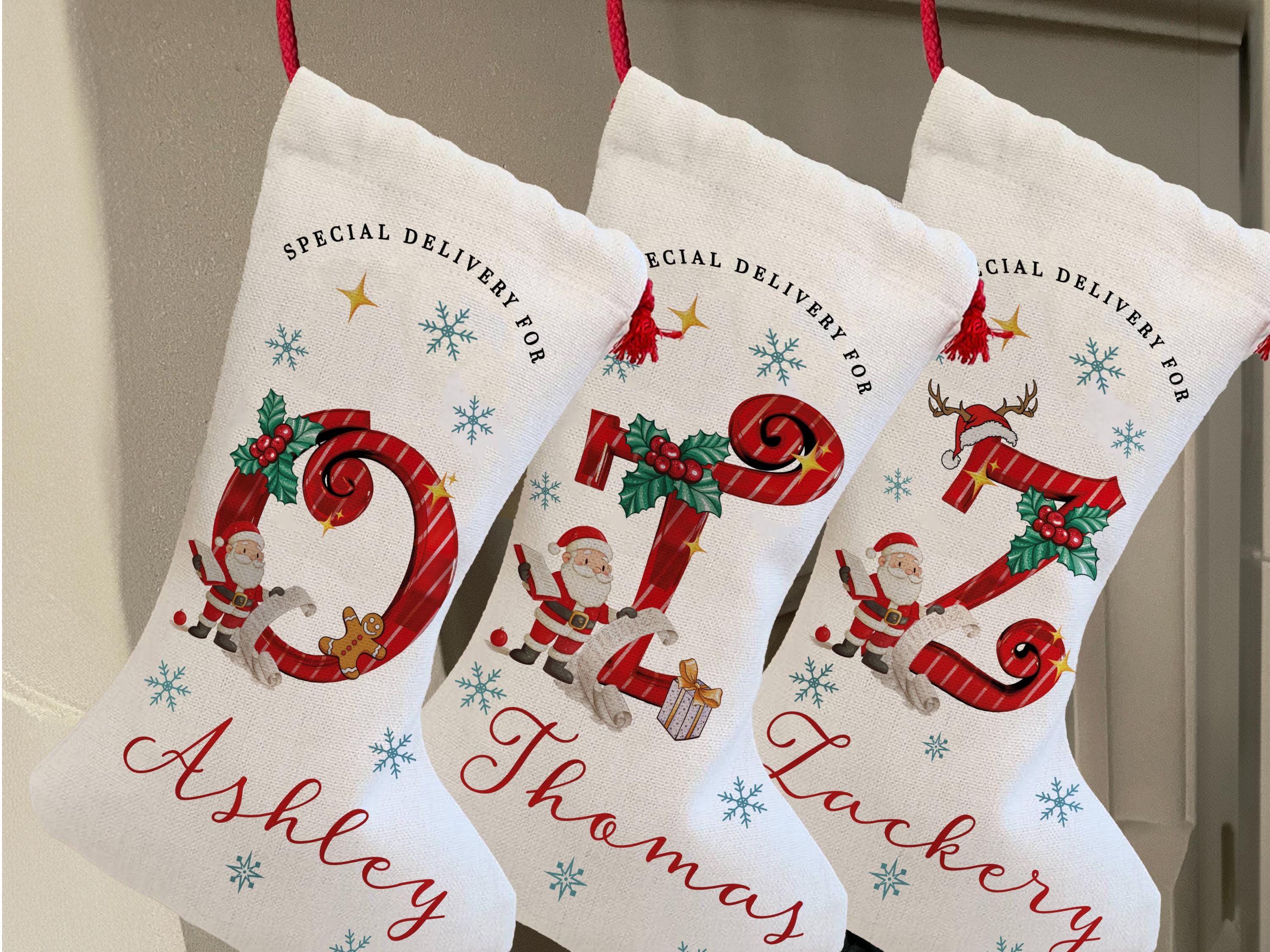 Christmas Santa Stocking, Custom Christmas Stocking, Special Delivery Kids Stocking for Christmas, Personalized Christmas Family Stocking