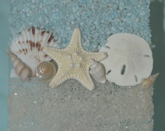 ETSY BEST SELLER NL46 Coastal Starfish Scallop Sand Dollar and Seashell Night Light Nightlight