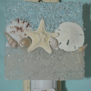 ETSY BEST SELLER NL46 Coastal Starfish Scallop Sand Dollar and Seashell Night Light Nightlight