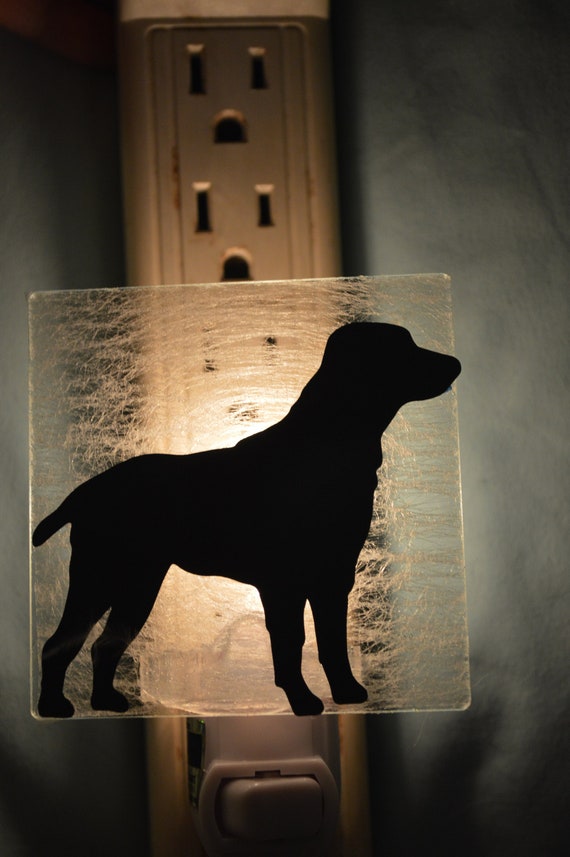 Do Puppies Need Night Lights