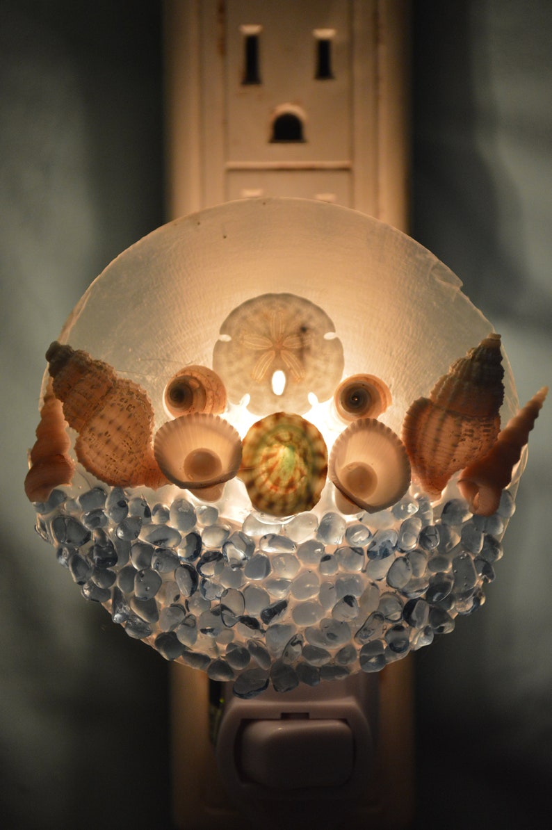 Coastal Nautical Seashells Night Light Nightlight Night Lights Home