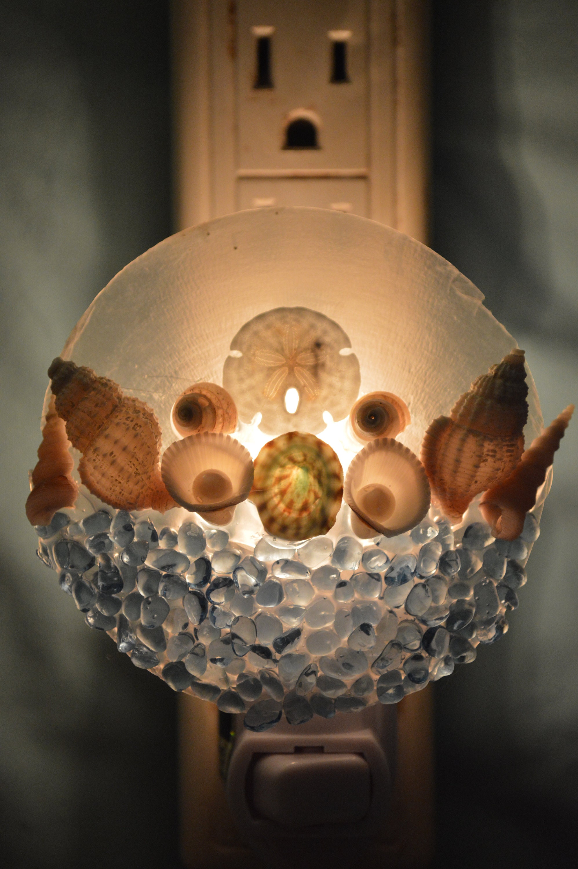 Coastal Nautical Seashells Night Light Nightlight Etsy