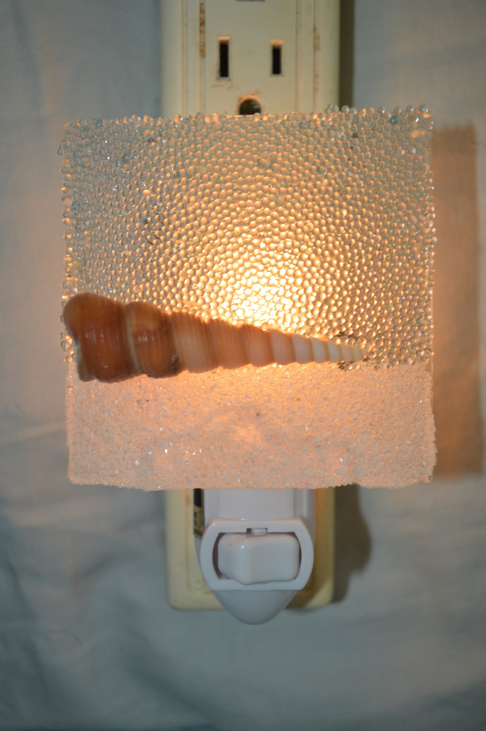 Solitary Seashell Night Light Nightlight Etsy