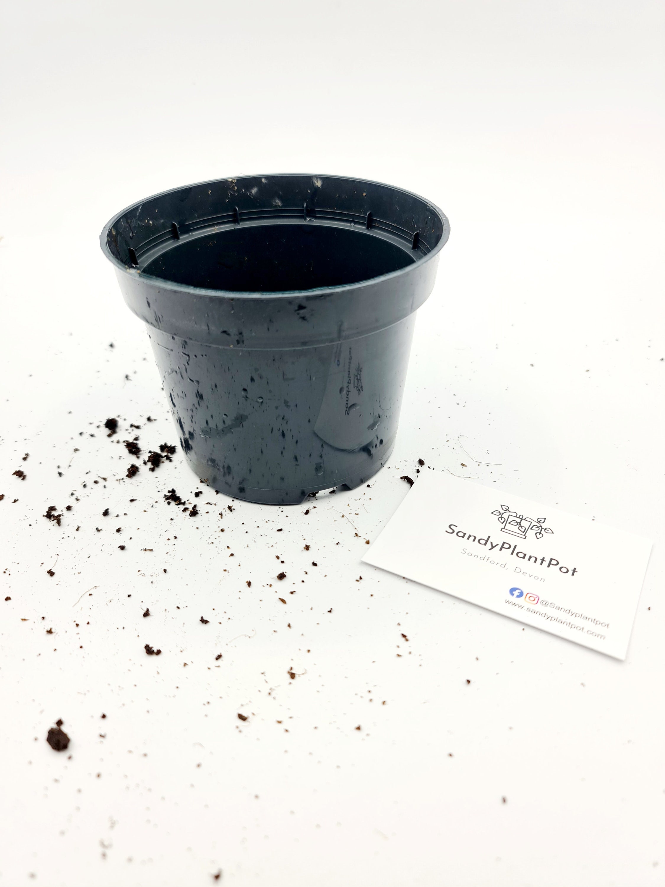 12cm Plastic Plant Pot with Drainage Holes Etsy