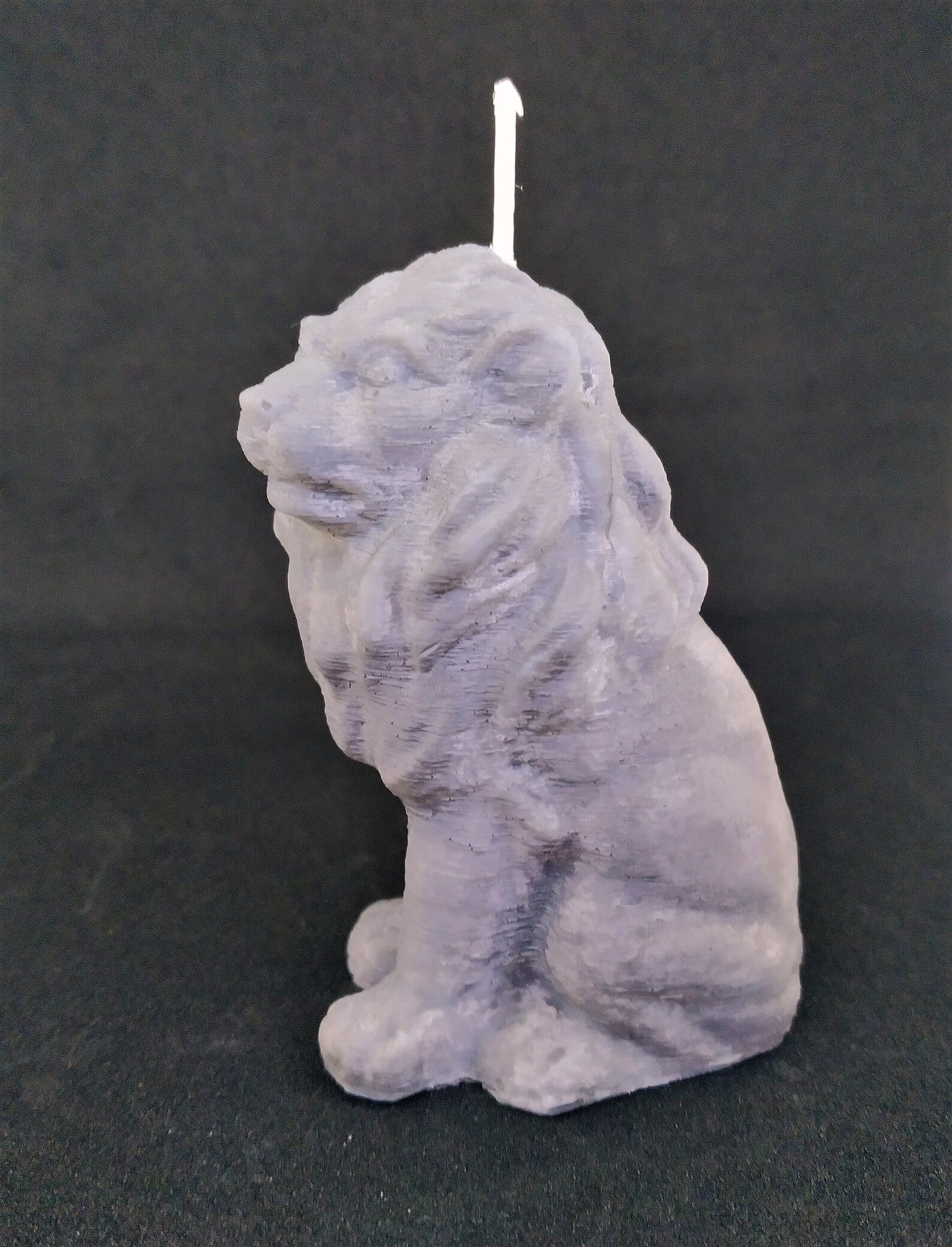 Lion Candle Etsy