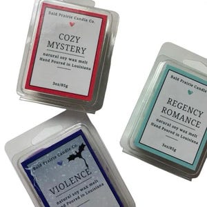 Bookish Soy Wax Melts: Cozy Reading Nook Scents