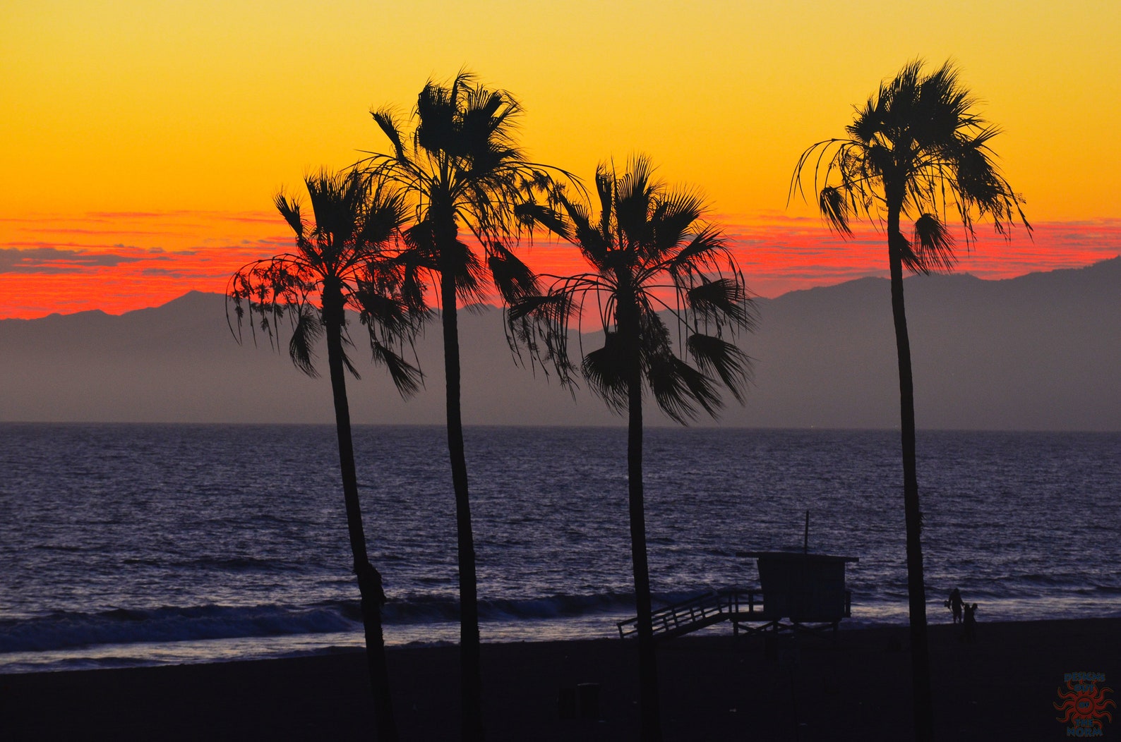 Malibu From Dockweiler Beach Palm Trees Los Angeles CA Etsy