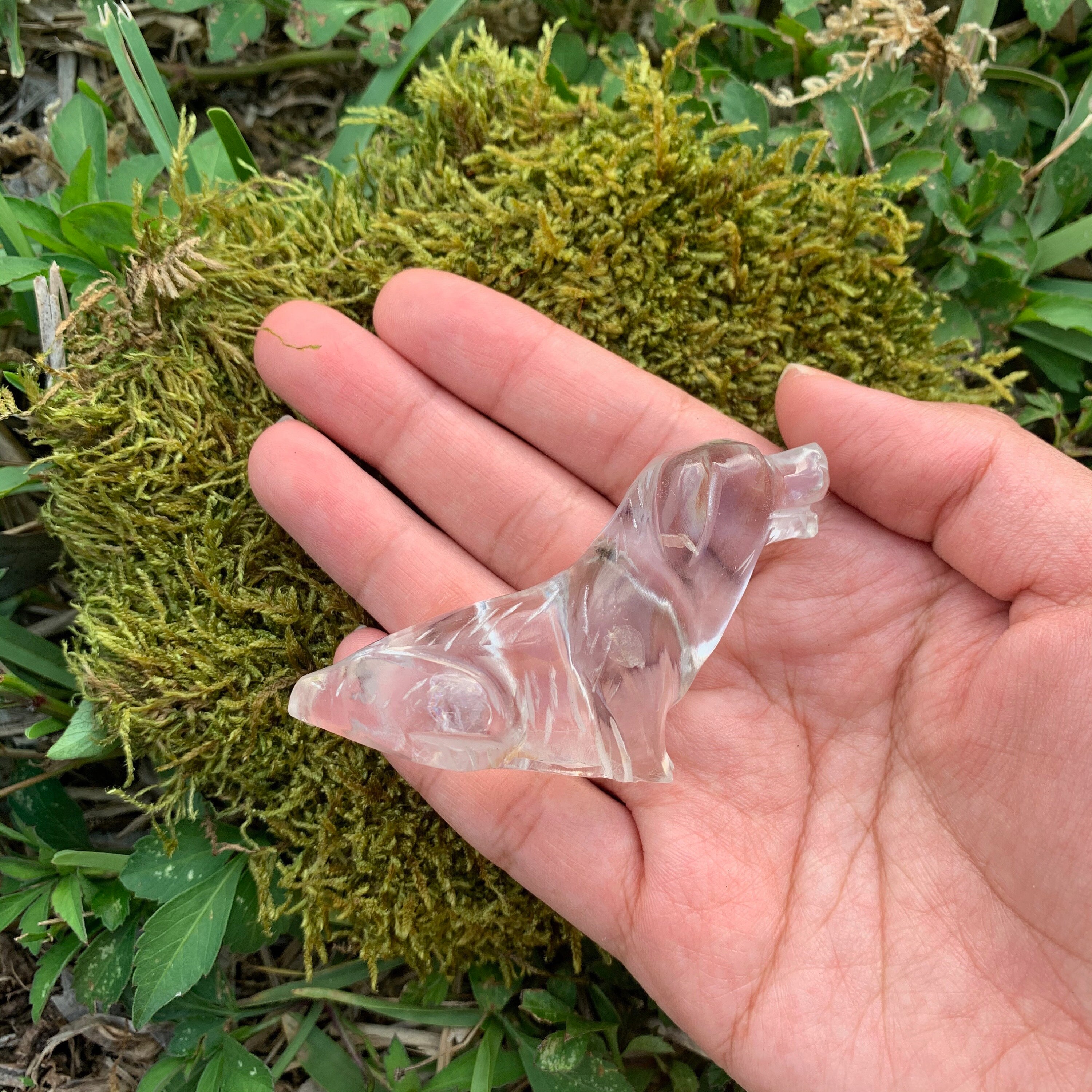 Natural Crystal Dog 6 557W Handcarved Natural Quartz Etsy