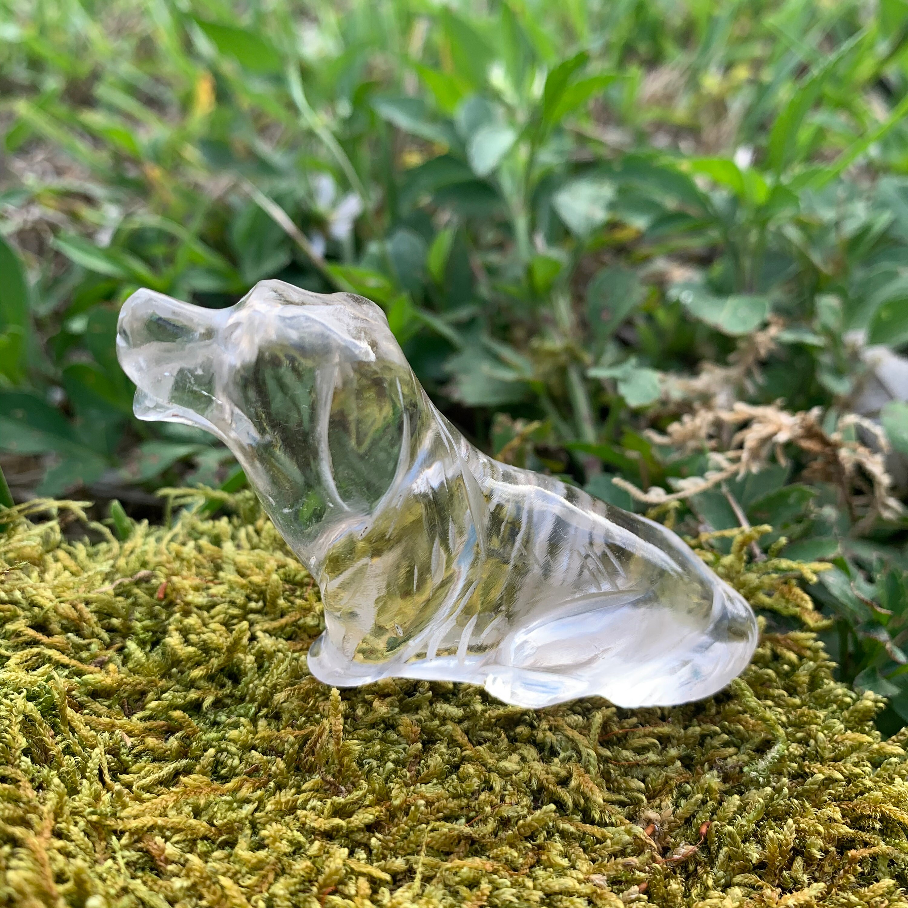 Natural Crystal Dog 6 557W Handcarved Natural Quartz Etsy