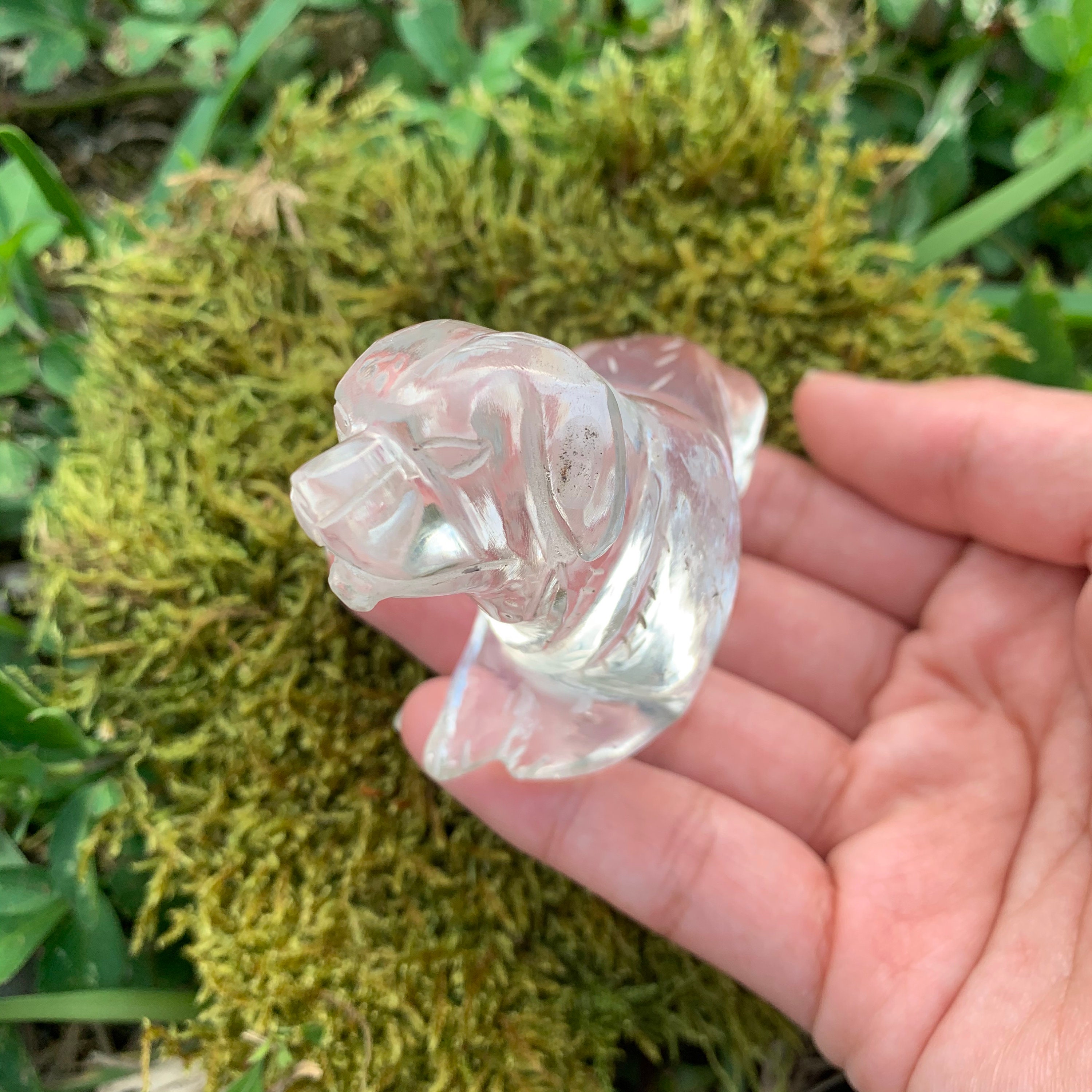 Natural Crystal Dog 7 557X Handcarved Natural Quartz Etsy