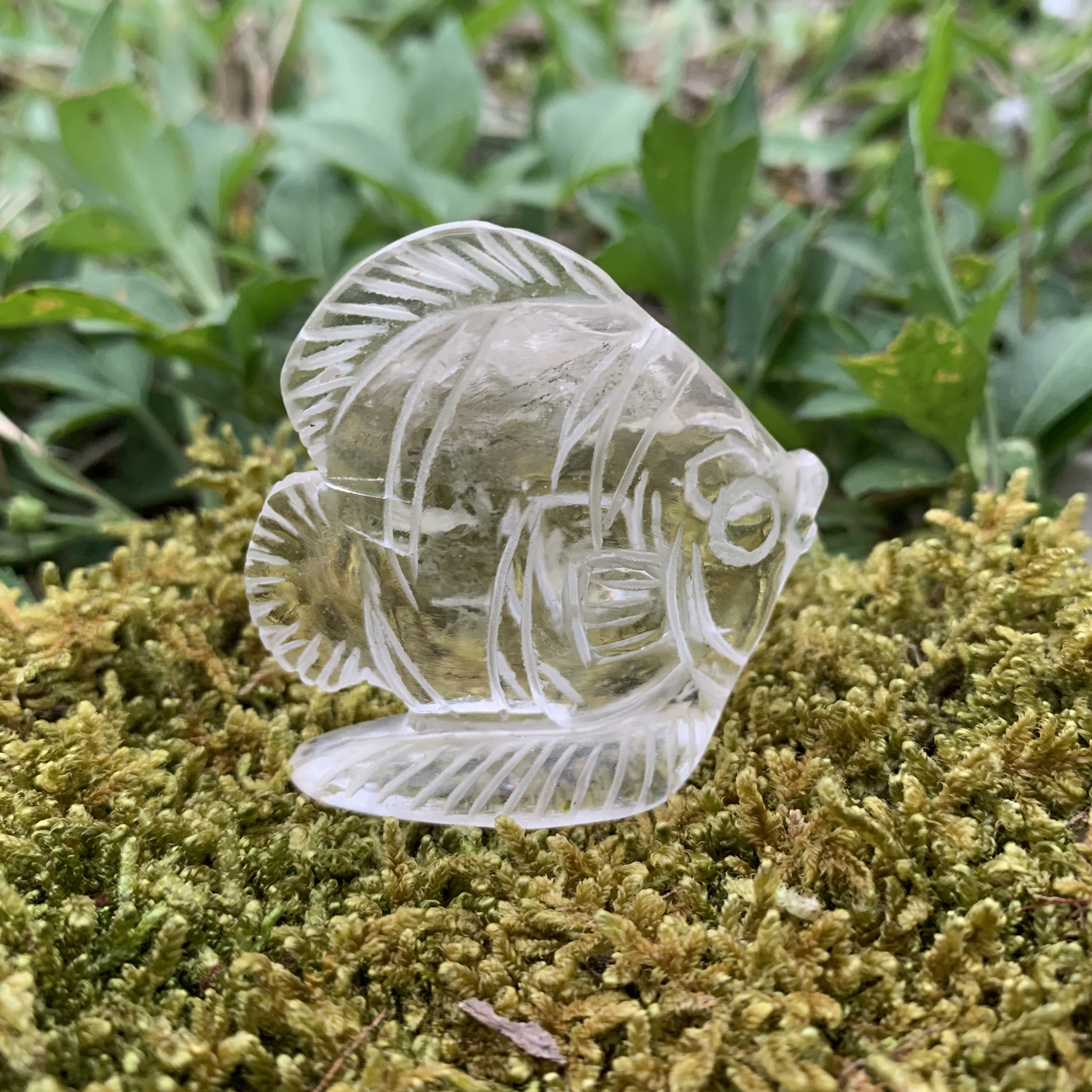Natural Crystal Fish 2 557O Handcarved Natural Quartz Etsy