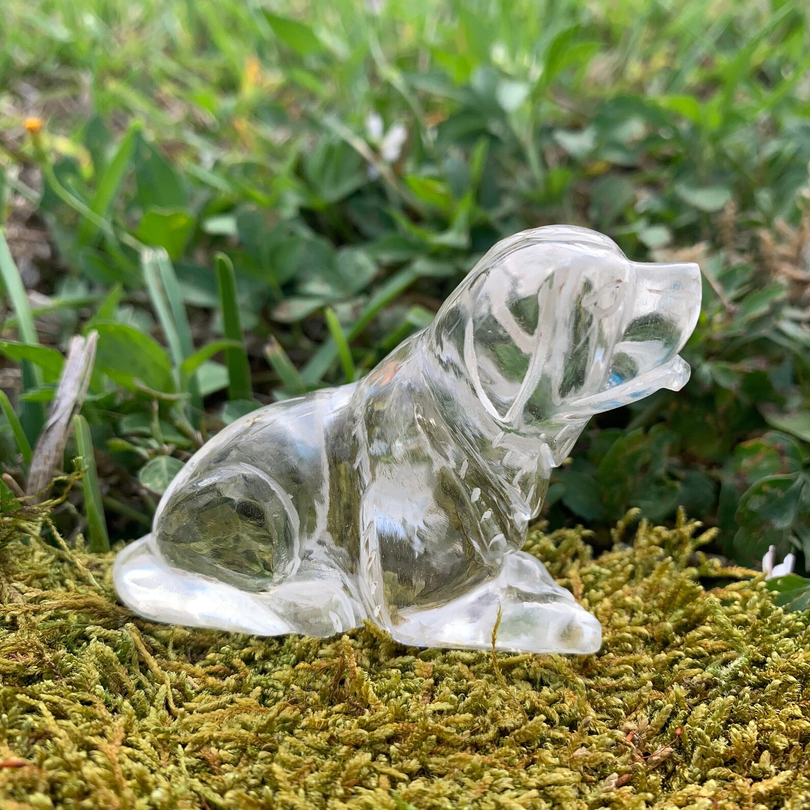 Natural Crystal Dog 7 557X Handcarved Natural Quartz Etsy
