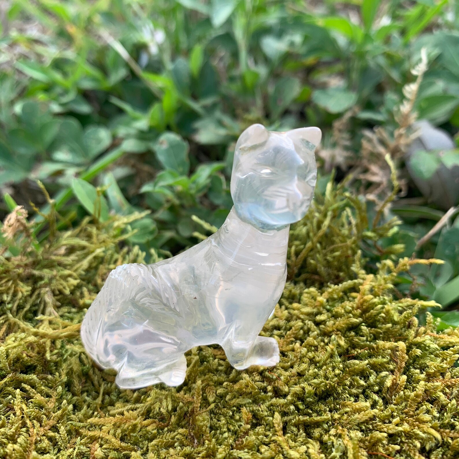 Natural Crystal Cat 1 557Z Handcarved Natural Quartz Etsy