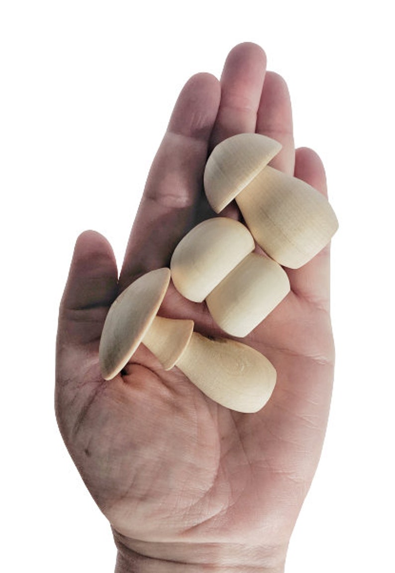 Unfinished Wood Mushroom Set 6 Pcs / Unpainted Mushrooms / Etsy