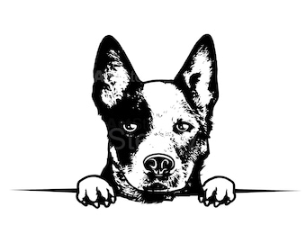 Fun Blue & Red Heeler Svg Png Pdf Dxf Bundle Peeking Aussie Cattle Dog Face Clipart for Crafts instant downloads