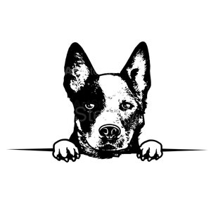 Ensemble amusant bleu et rouge à talons Svg Pdf Pdf Dxf, clipart visage de bouvier australien pour travaux manuels, téléchargements instantanés