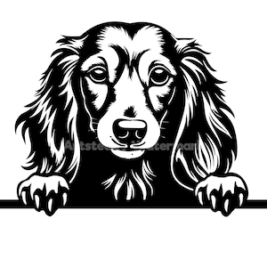 Puede incluir: Ilustración en blanco y negro de un perro salchicha asomándose por encima de una superficie. El perro tiene orejas largas y un hocico largo.