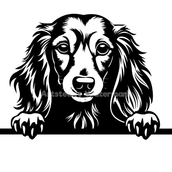 Long Haired Dachshund Peeking Dog SVG, PNG , DXF and Pdf - Dog or puppy pet lover  instant digital downloads