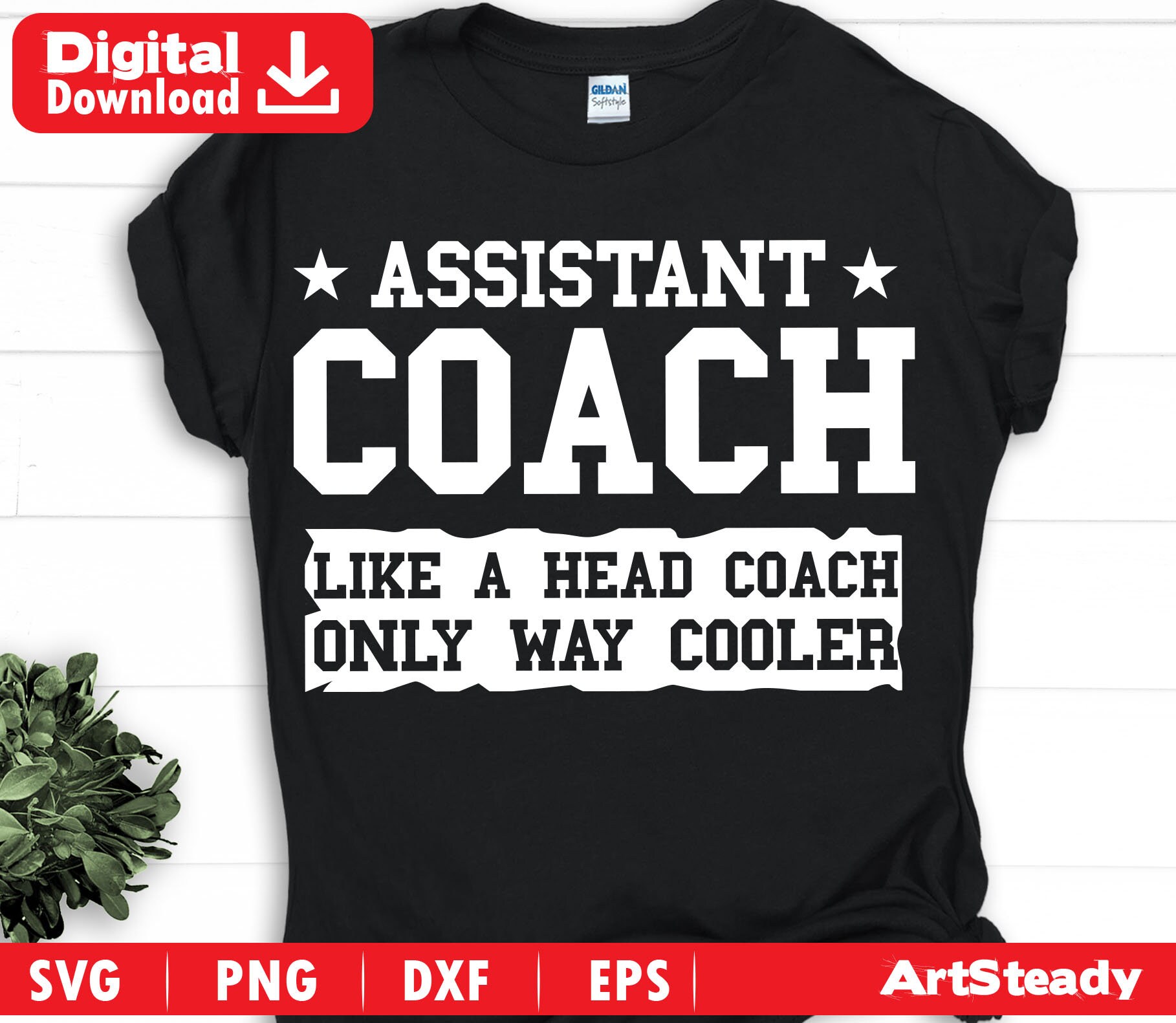 Coach Svg Files Assistant Coach Like a Head Coach Only Way Etsy
