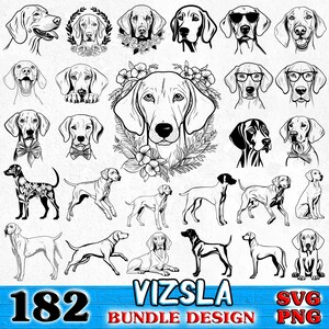 Vizsla dog pet lover owner Bundle SVG, PNG instant digital downloads