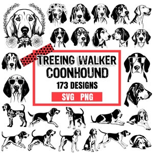 May include: Black and white illustrations of Treeing Walker Coonhound dogs in various poses. The text "Treeing Walker Coonhound 173 Designs SVG PNG" is displayed in a red box.
