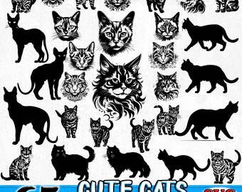 Cats Svg & Png Bundle with Cute Cat Silhouette and Funny Pet Lover Graphic Designs for Cat Owners instant downloads