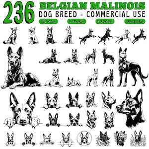 Può includere: Un download digitale di 236 illustrazioni in bianco e nero di cani Malinois belgi in varie pose. Le illustrazioni sono per uso commerciale e sono disponibili nei formati SVG, PNG, DXF e JPEG.