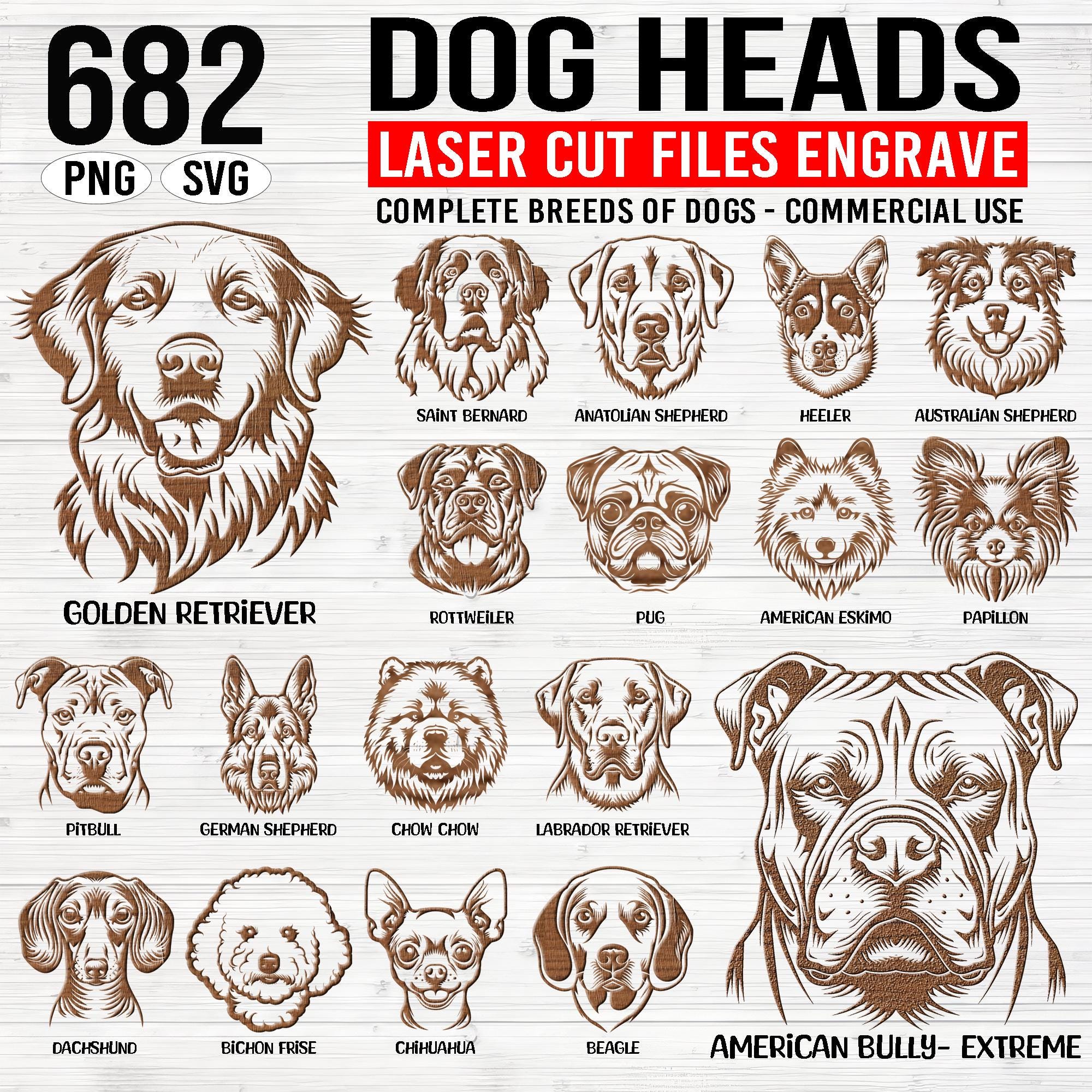 682 Dog heads complete breeds of dogs Laser engraving cut files files bundle SVG and PNG bundle - glowforge files Engrave instant downloads
