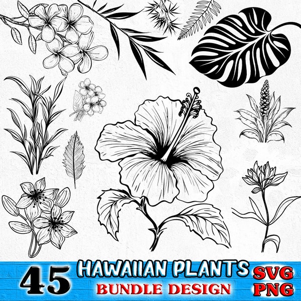 Botanical hawaiian plants art Bundle SVG, PNG instant digital downloads