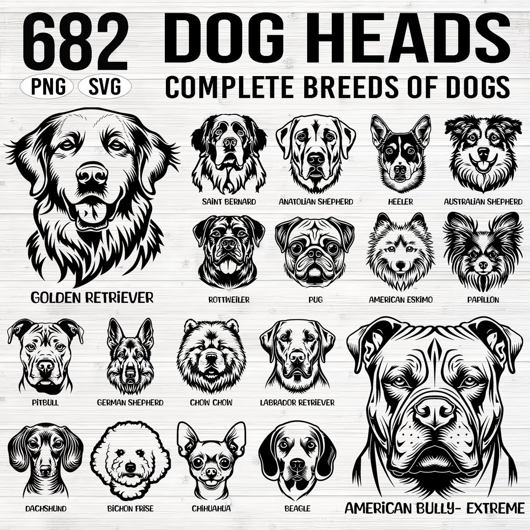 682 Dog Heads Complete Breeds of Dogs SVG and PNG Bundle - Dogs or ...