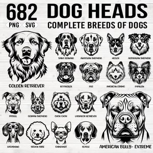 682 Dog heads complete breeds of dogs SVG and PNG bundle graphics - dogs puppy pet lover owner instant downloads