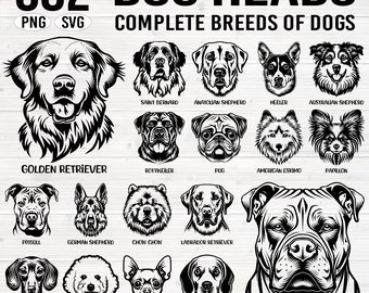 682 Dog heads complete breeds of dogs SVG and PNG bundle graphics - dogs puppy pet lover owner instant downloads