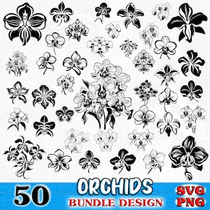 Orchids Bundle SVG, PNG instant digital downloads