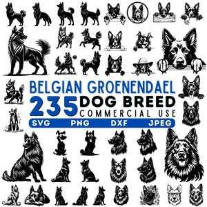 Ensemble de chien Groenendael belge Svg Dxf Png Jpeg pour les amoureux des animaux de compagnie - téléchargements numériques instantanés - usage commercial