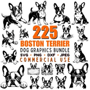May include: A collection of 225 black and white vector illustrations of Boston Terrier dogs in various poses. The text "225 Boston Terrier Dog Graphics Bundle SVG PNG DXF JPEG Commercial Use" is displayed in orange letters.