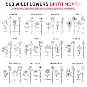 Wildflowers Birthmonth SVG, PNG bundle 568 graphics - Birth month wild flowers svg files Birthday Flower clipart Botanical instant downloads