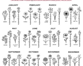 Wildflowers Birthmonth SVG, PNG bundle 568 graphics - Birth month wild flowers svg files Birthday Flower clipart Botanical instant downloads