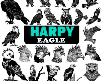 Harpy Eagle, Bundle SVG, PNG instant digital downloads