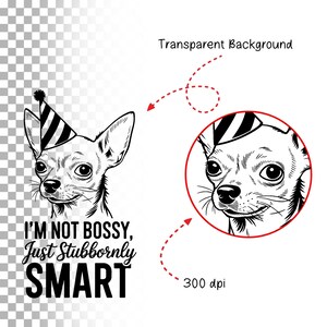 Puede incluir: Ilustraci&oacute;n en blanco y negro de un chihuahua con un gorro de fiesta. El texto "I'm not bossy, just stubbornly SMART" est&aacute; debajo de la imagen.