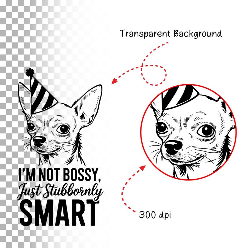 Puede incluir: Ilustraci&oacute;n en blanco y negro de un chihuahua con un gorro de fiesta. El texto "I'm not bossy, just stubbornly SMART" est&aacute; debajo de la imagen.