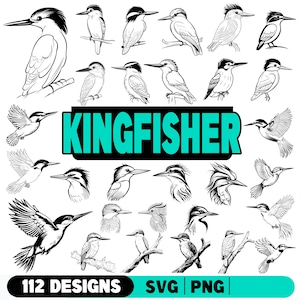Kingfisher, Bundle SVG, PNG downloads digitais instantâneos
