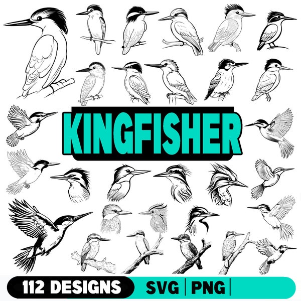 Kingfisher, bundel SVG, PNG instant digitale downloads