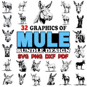 May include: A set of 32 black and white illustrations of mules in various poses. The illustrations are in a graphic style and are perfect for use in crafting projects, scrapbooking, or digital design. The text "32 GRAPHICS OF MULE BUNDLE DESIGN SVG PNG DXF PDF" is displayed in red and blue.