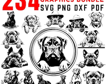 Cane Corso Svg Dxf Png Jpeg Bundle téléchargements numériques instantanés - utilisation commerciale de dessins et modèles pour les amoureux des chiens
