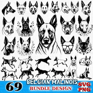 May include: A set of 69 black and white SVG and PNG digital files featuring various poses of Belgian Malinois dogs. The designs include a variety of poses, including standing, sitting, running, and jumping. The text "Belgian Malinois" and "Bundle Design" is included in the image.