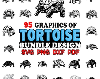 Tortoise Bundle SVG, Png, Dxf, Pdf - Instant digital downloads