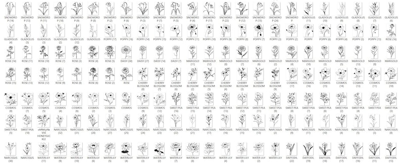 May include: Black and white line drawings of various flowers, including snowdrops, gladiolus, poppies, roses, daisies, marigolds, cherry blossoms, cosmos, sweet peas, narcissus, water lilies, and daffodils. Each flower is labeled with its name and a number.