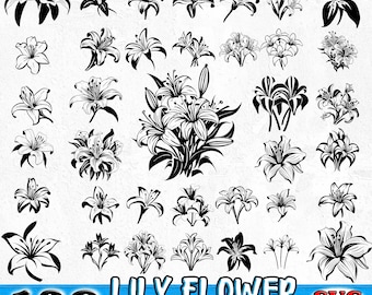 May include: A set of 138 black and white lily flower illustrations. The illustrations are in various styles and sizes, and some are grouped together. The text "Lily Flower Bundle Design" and "SVG PNG" are at the bottom of the image.